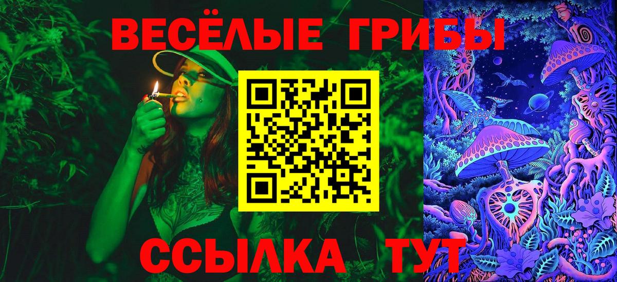 закладка  Псилоцибиновые грибы Psilocybine cubensis  Псилоцибиновые грибы MAGIC MUSHROOMS  Вход с VPN  Югорск 