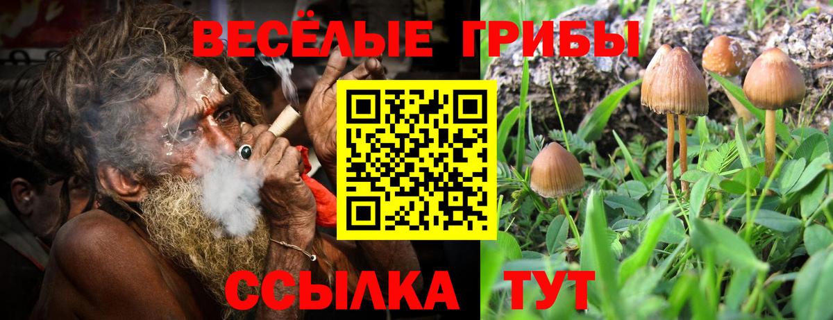 Галлюциногенные грибы GOLDEN TEACHER Югорск